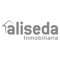 logo-aliseda-gris